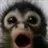 PogChimp