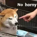 NoHorny