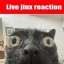 reaction