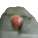 birrrrrrb