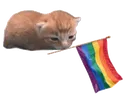 gaykitter