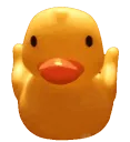 duckspeen