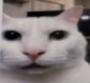 lacague_Mtln Discord emoji