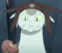 meow meow