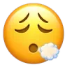 iosexhale