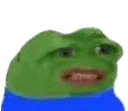 pepedisgusted