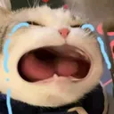 uaaaaaaaa