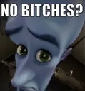 nobitches