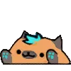 Bongo