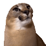 floppa_Yes Discord emoji