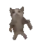 T_catrave