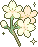 p_yellowflower