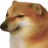 cheems cheems