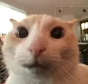 ok