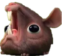 gasp gasp