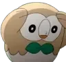 rowlet_confused