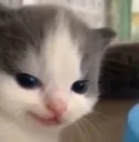 hehe hehe
