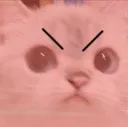 MadCat