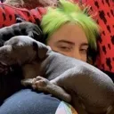 billie_puppies