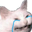 cry_cat Discord emoji
