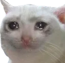 sed