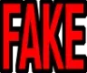 FAKE FAKE
