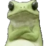 frog_DT