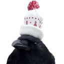 1keepwarm