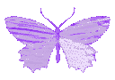 9808purplebutterflyholo Discord Emoji