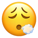 emojiessouffler