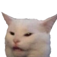 ccgg_catoffended Discord emoji