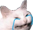 ccgg_catcry Discord emoji
