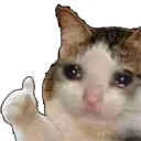 CatThumbsUp CatThumbsUp