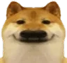DogSmirking DogSmirking