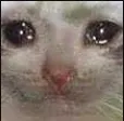 sadcat4