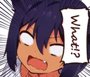 jahy_what