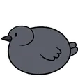 pcrowBounce