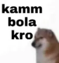 hg_kam_bol