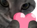 ungatoheart ungatoheart