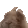 1x
