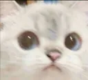3k_ohno