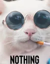 nothing_cat Discord Emoji