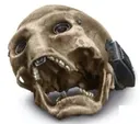 OchiSkull OchiSkull