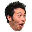 pog1