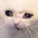 Cry