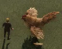 BigCock