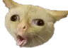 gag