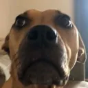 worried worried