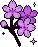 bliss_purpleflower