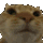 catno